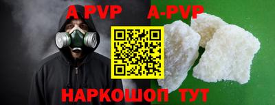 индика Сланцы