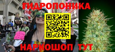 индика Сланцы